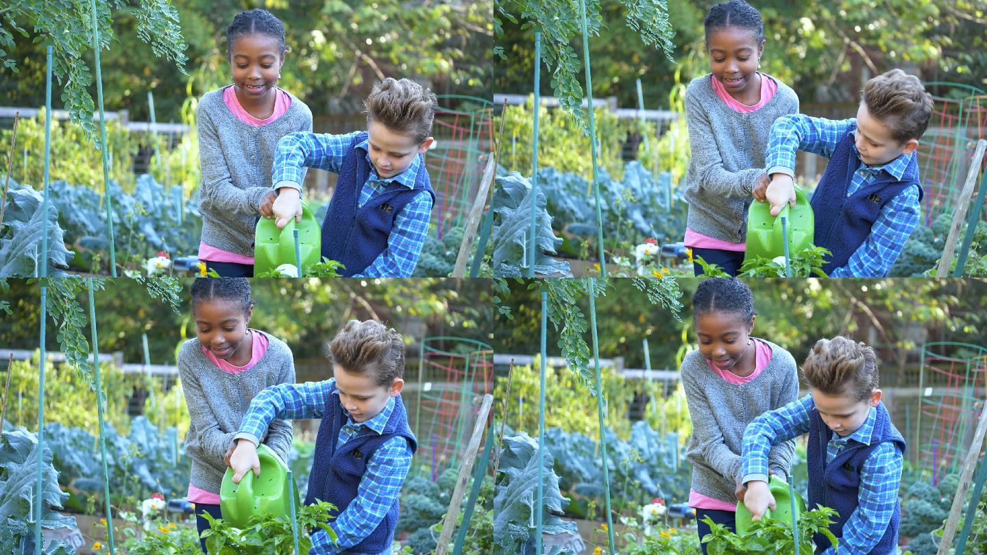 两个孩子在社区花园里照料植物。