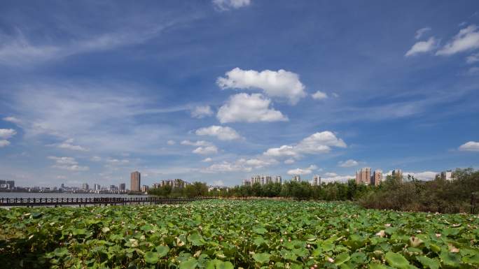 中国湖北省鄂州市景观