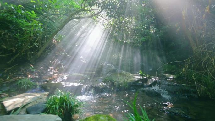 密林 溪水 耶稣光  树林透光