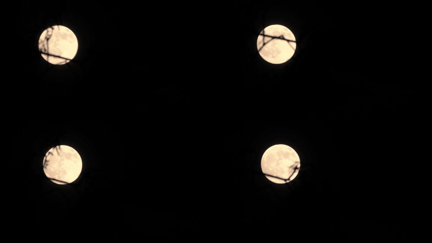 十五 月圆 月亮 中秋 实拍