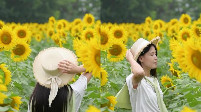 向日葵花海里的少女升格