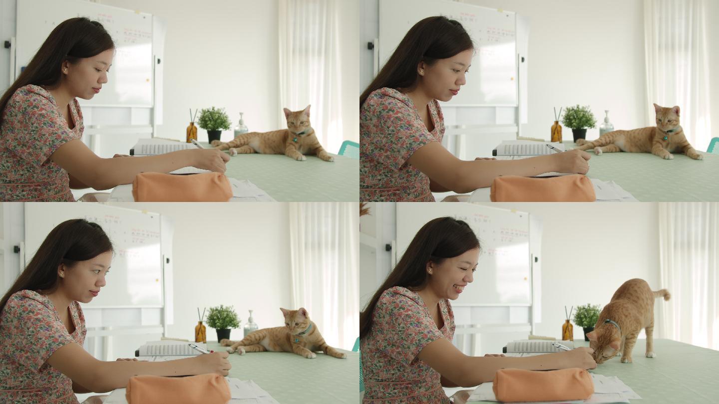 一名亚洲妇女在家里远程工作，桌上放着一只小猫。