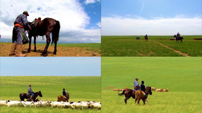 呼伦贝尔 内蒙古 骑马牧羊 草原生活