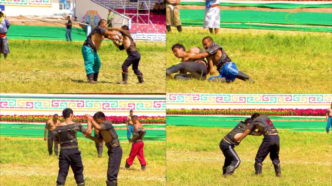 蒙古摔跤 民族风情习俗 摔跤 少数民族