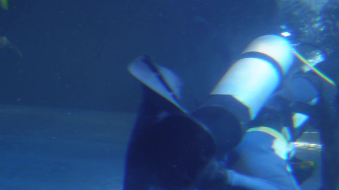 潜水员氧气瓶氧气管海洋作业 (1)
