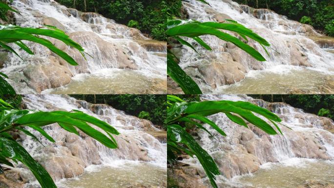 热带森林中的瀑布溪水