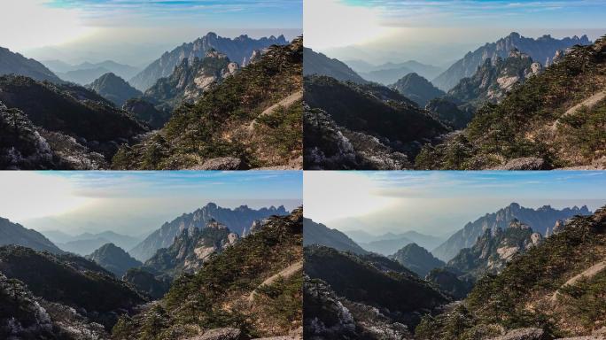 黄山（黄山）植被