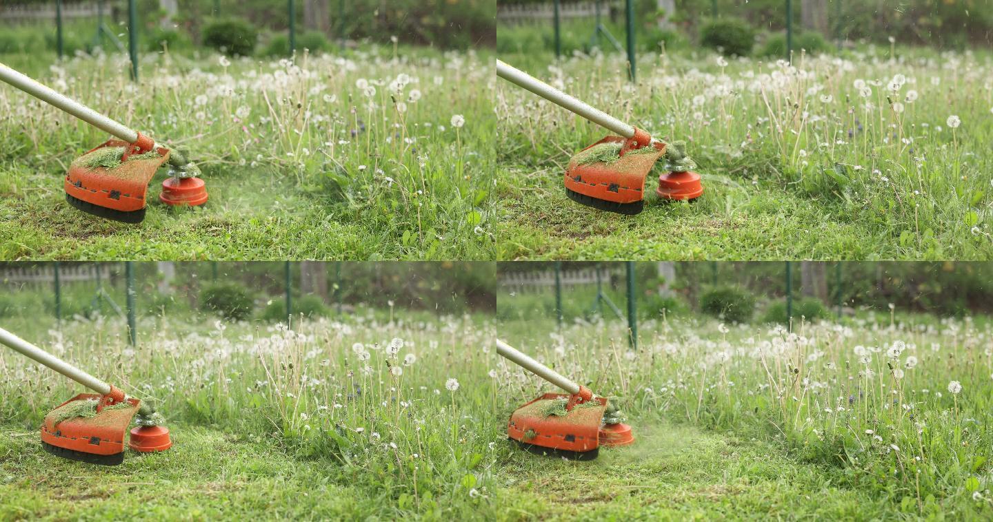 汽油草坪修剪机在阳光明媚的春天在后院修剪草坪和野花