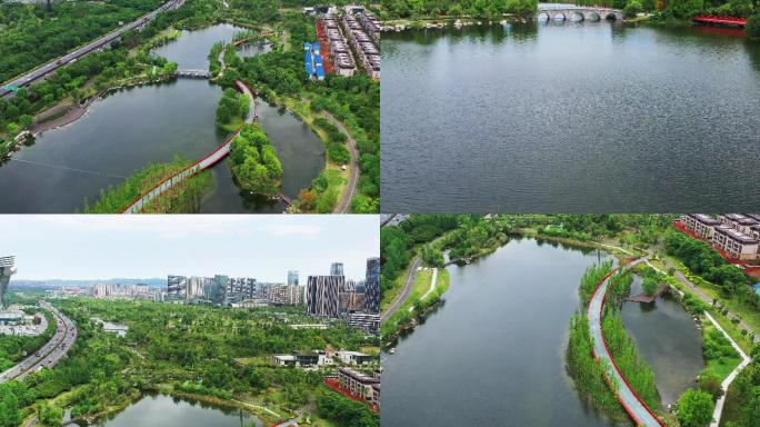 锦城湖公园-4k