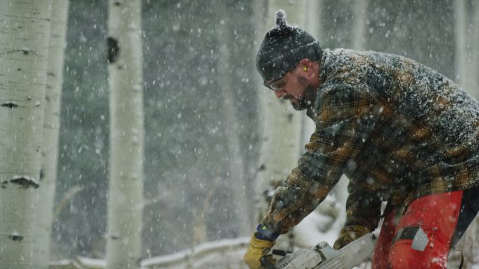 一个30多岁、留着胡子的白种人在森林里的一个下雪的冬日里用电锯砍断了一根白杨木原木