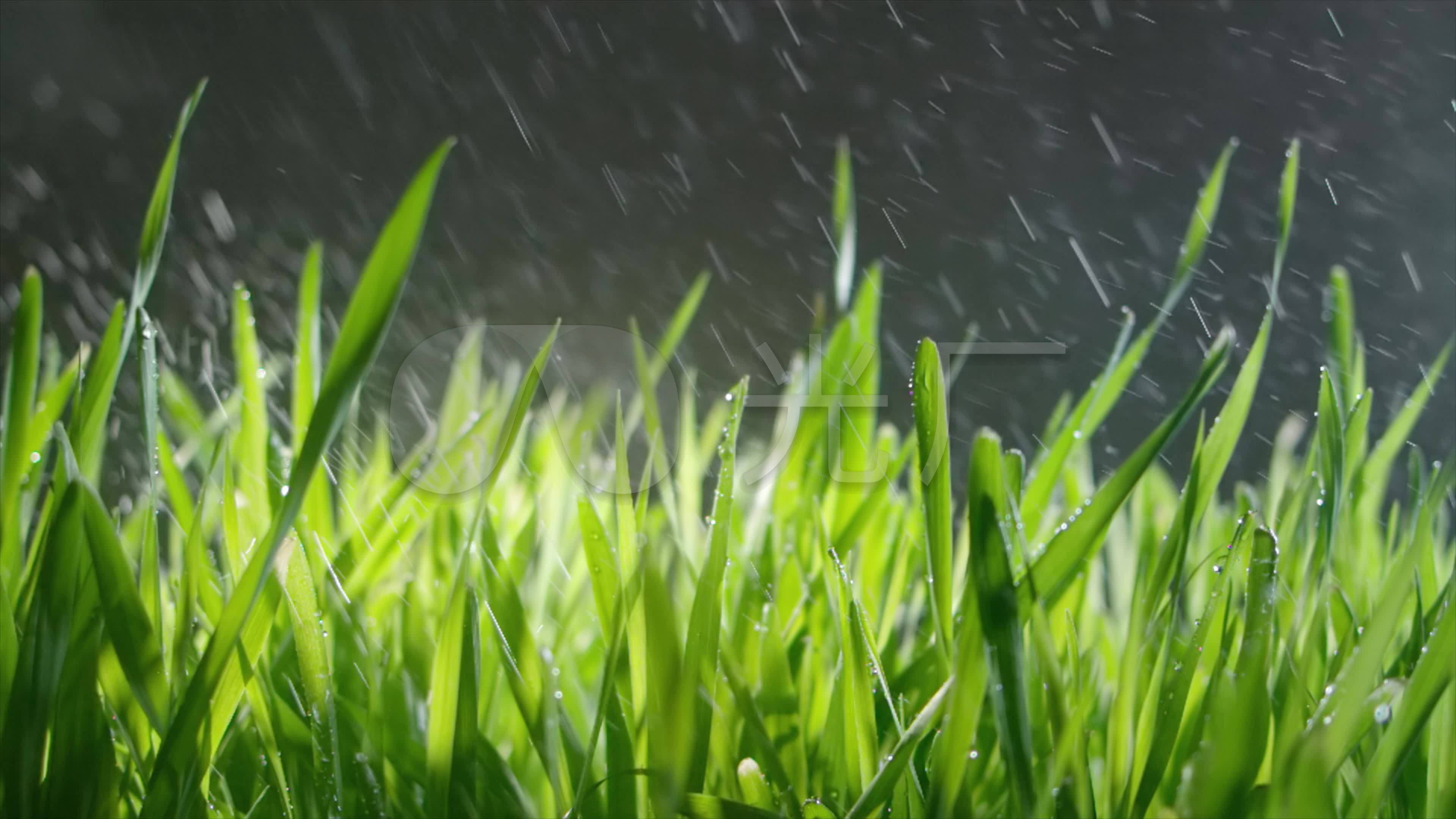 country lane, field, meadow, puddles, rain, rainy, rural, stormy ...