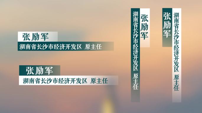 简洁人名条字幕条AE模板