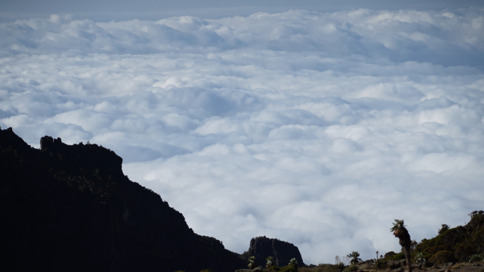 4K延时万能素材：流云风景高山草原天光