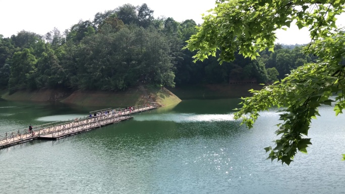 湖面 阳明湖  陡水湖 上犹 山水