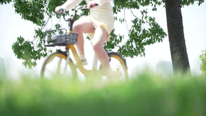 在公园骑自行车的女生 4K