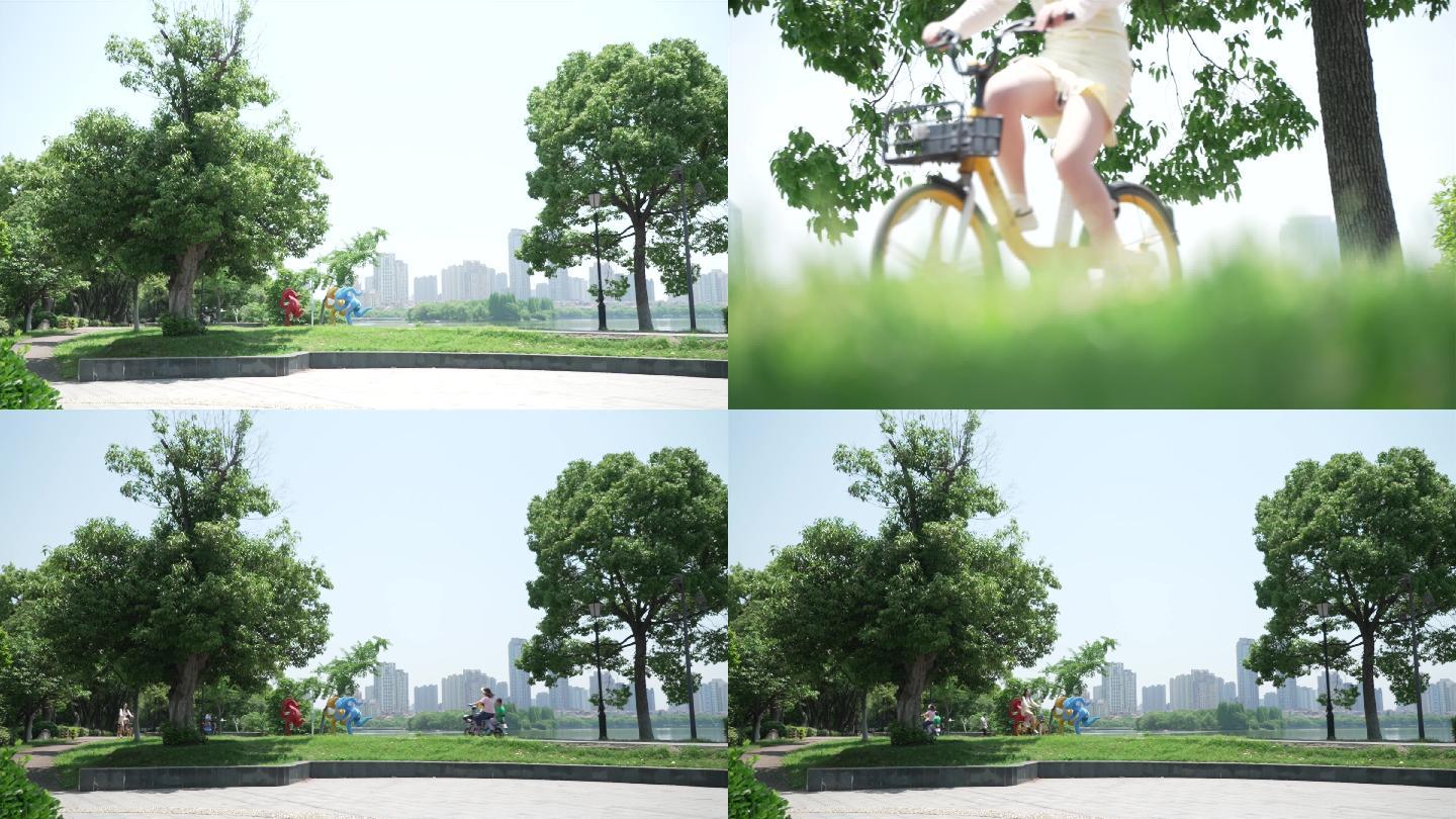 在公园骑自行车的女生 4K