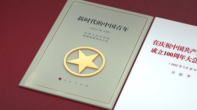 共青团100周年学习素材视频