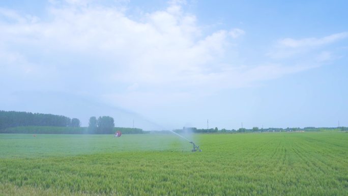 4K原创 农场 农田喷灌 灌溉 浇地