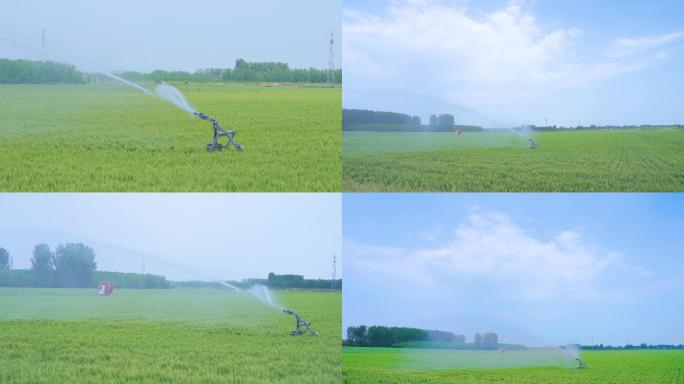 4K原创 农场 农田喷灌 灌溉 浇地