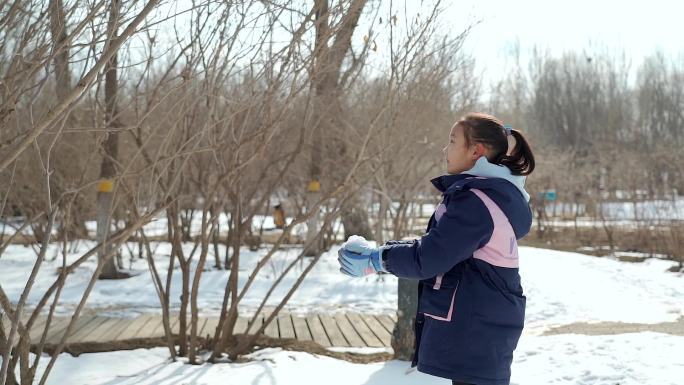 冬季在公园玩雪的东方女孩