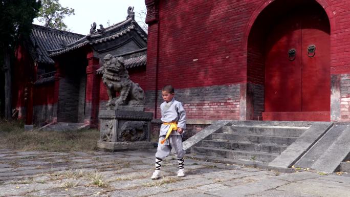 少林功夫习武培训历史