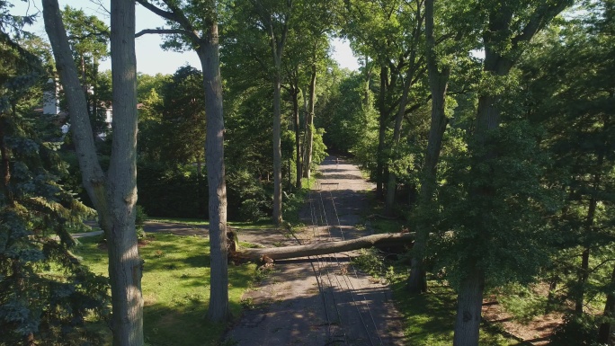 一棵树因强风倒下，在一场风暴后，它挡住了街道，摧毁了新泽西州一个小镇的电线、互联网和电视电缆。低空空