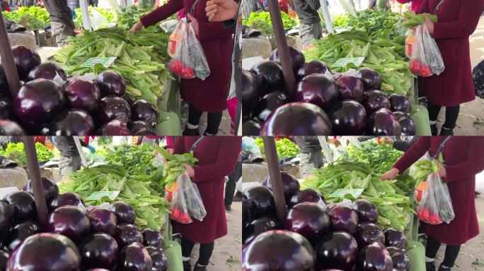 紫皮茄子买圆茄子买菜市场 (2)