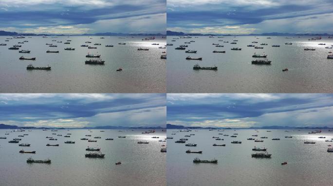 大麦屿港百艘渔船泊港航拍画面