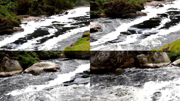 哥伦比亚的污染河水上的白色泡沫