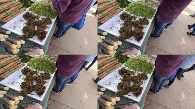 香椿春季野菜菜市场卖菜 (2)