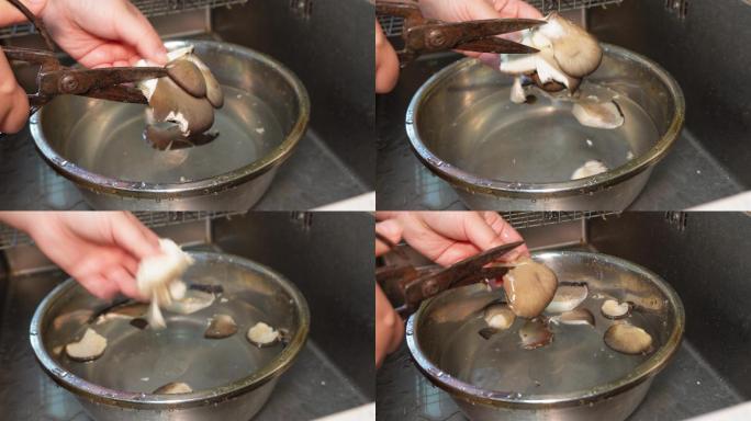 水槽清洗平菇沥干水分 (2)