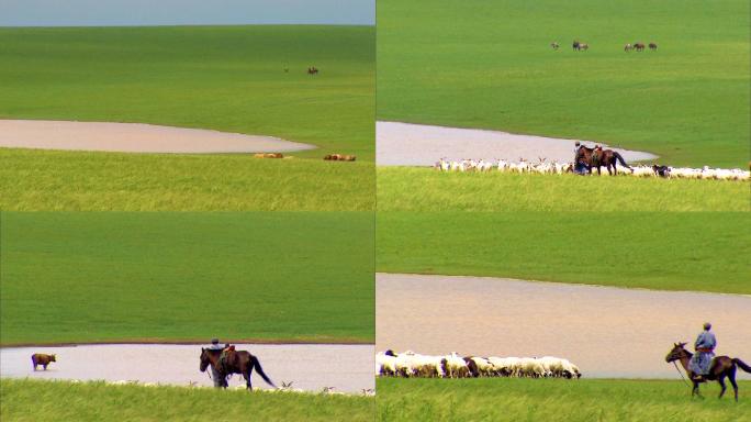 绿色草场 湛蓝天空 骑马放牧 快乐生活