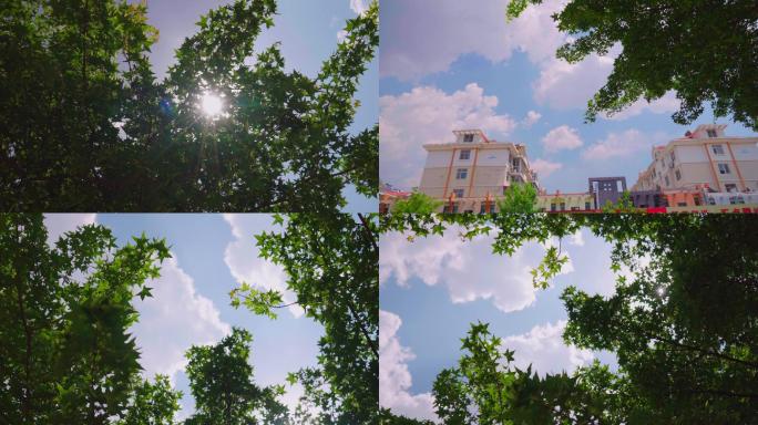 夏天空镜树叶蓝天白云