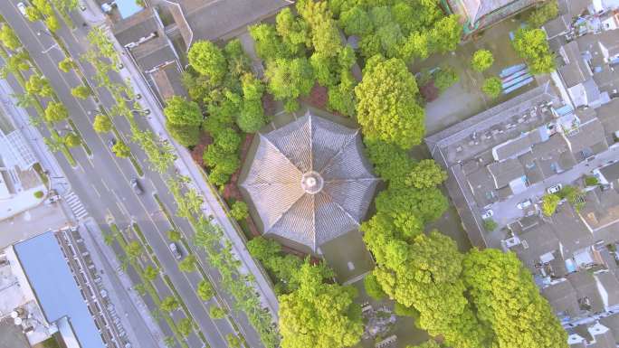 苏州北寺塔-报恩寺【航拍】