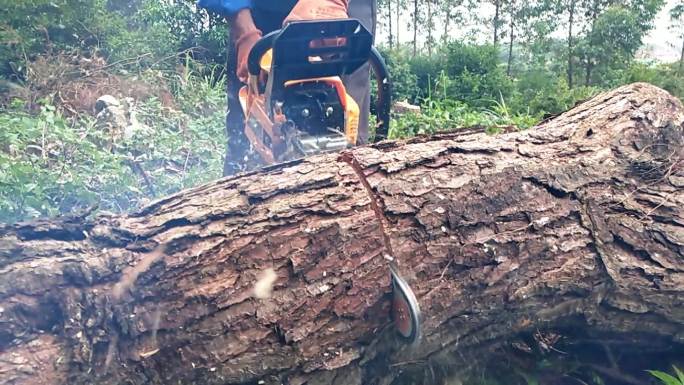锯木材飞溅的木屑锯断的木材锯断的木头