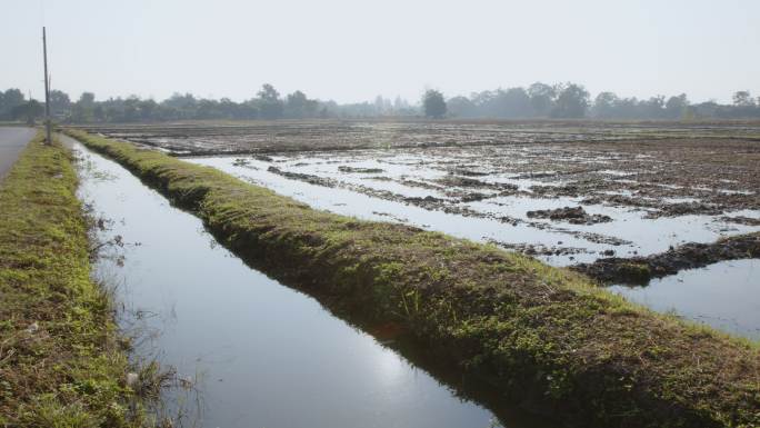 有水坑水道的稻田，用于在农村给植物浇水。水对人类和农业有用。