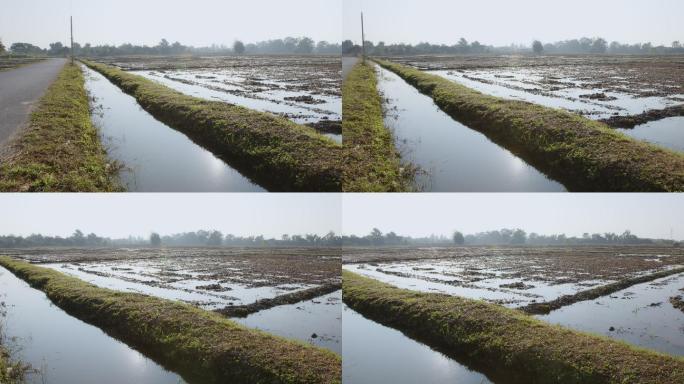 有水坑水道的稻田，用于在农村给植物浇水。水对人类和农业有用。