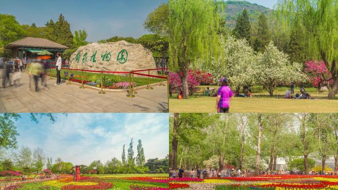 国家植物园 北京植物园 8K延时