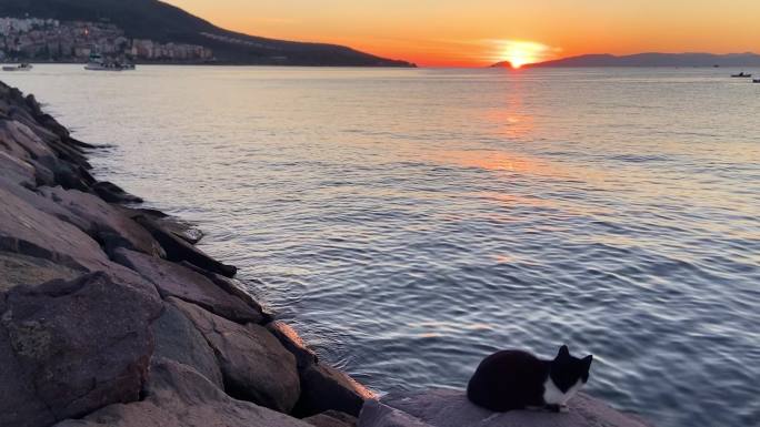 土耳其滨海城市库萨达斯猫儿礁石上惬意落日