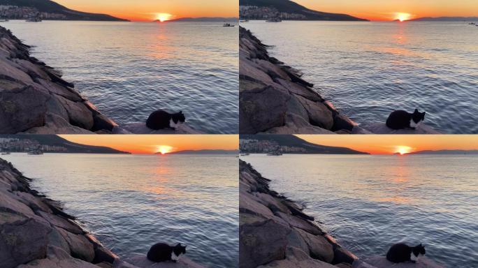 土耳其滨海城市库萨达斯猫儿礁石上惬意落日