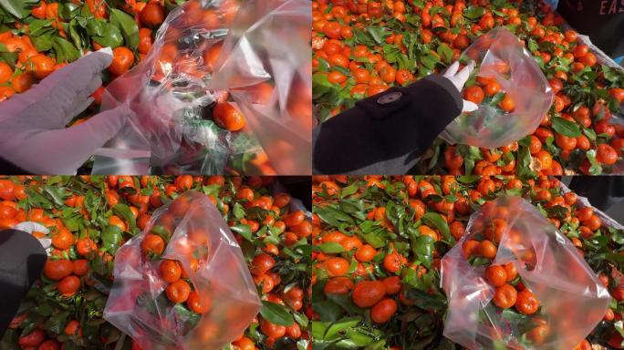 逛大集买橘子砂糖橘橙子 (6)