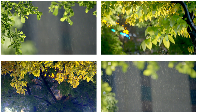 4K城市下雨天路边街景