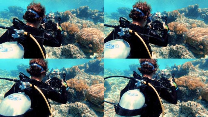 水肺潜水员在水下拍摄海洋生物