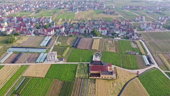 绍兴上虞沥海镇自然风景