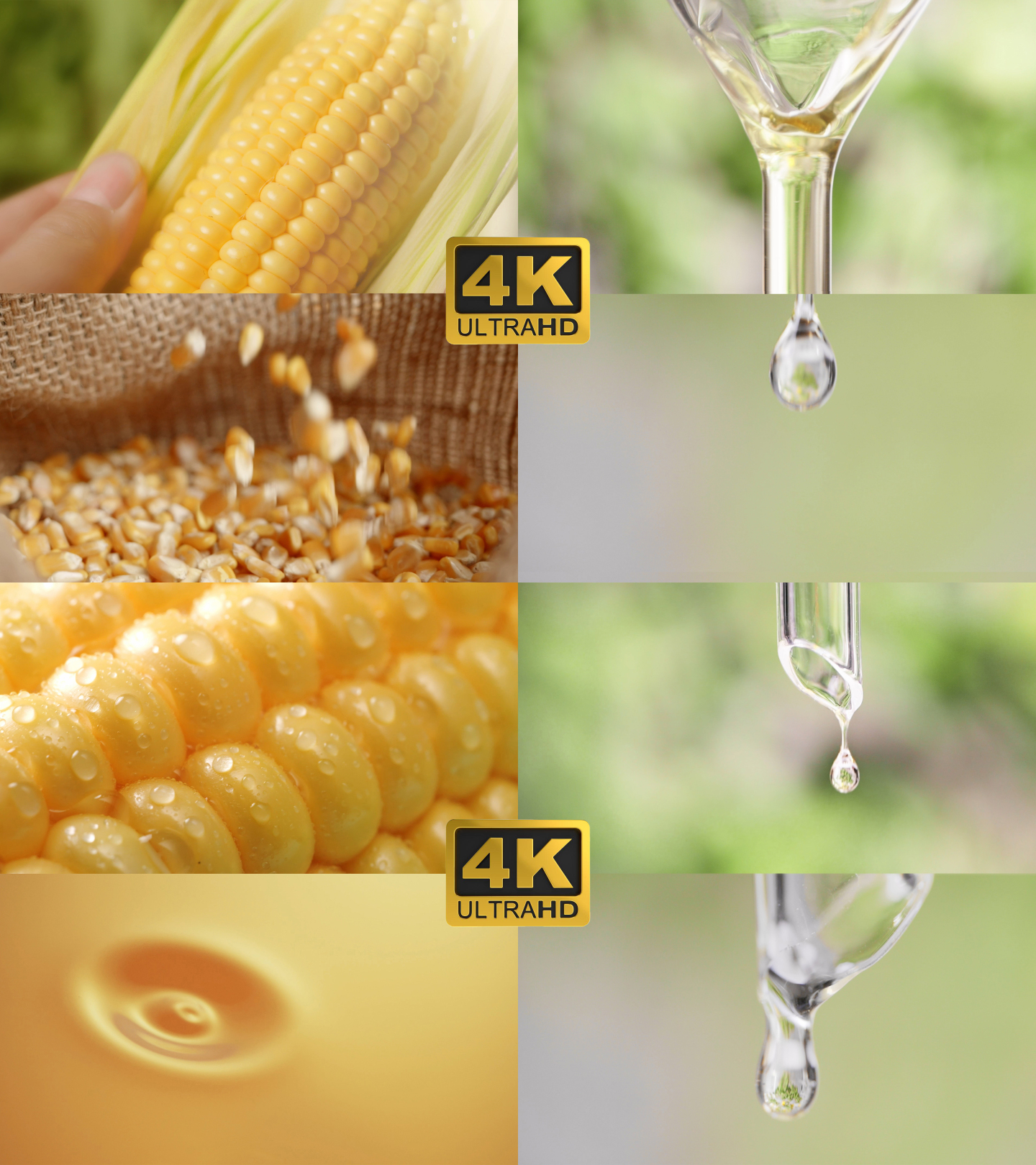 玉米油食用油油滴油广告玉米油萃取植物油