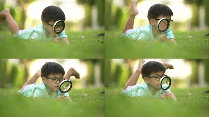 孩子们在户外用放大镜学习。概念自学习与环境