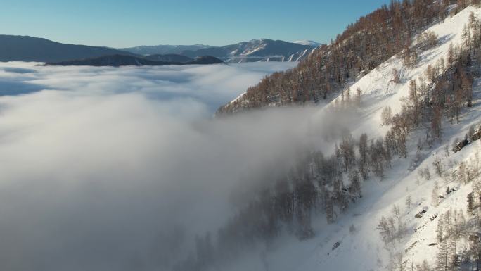 阿勒泰禾木雪景云海