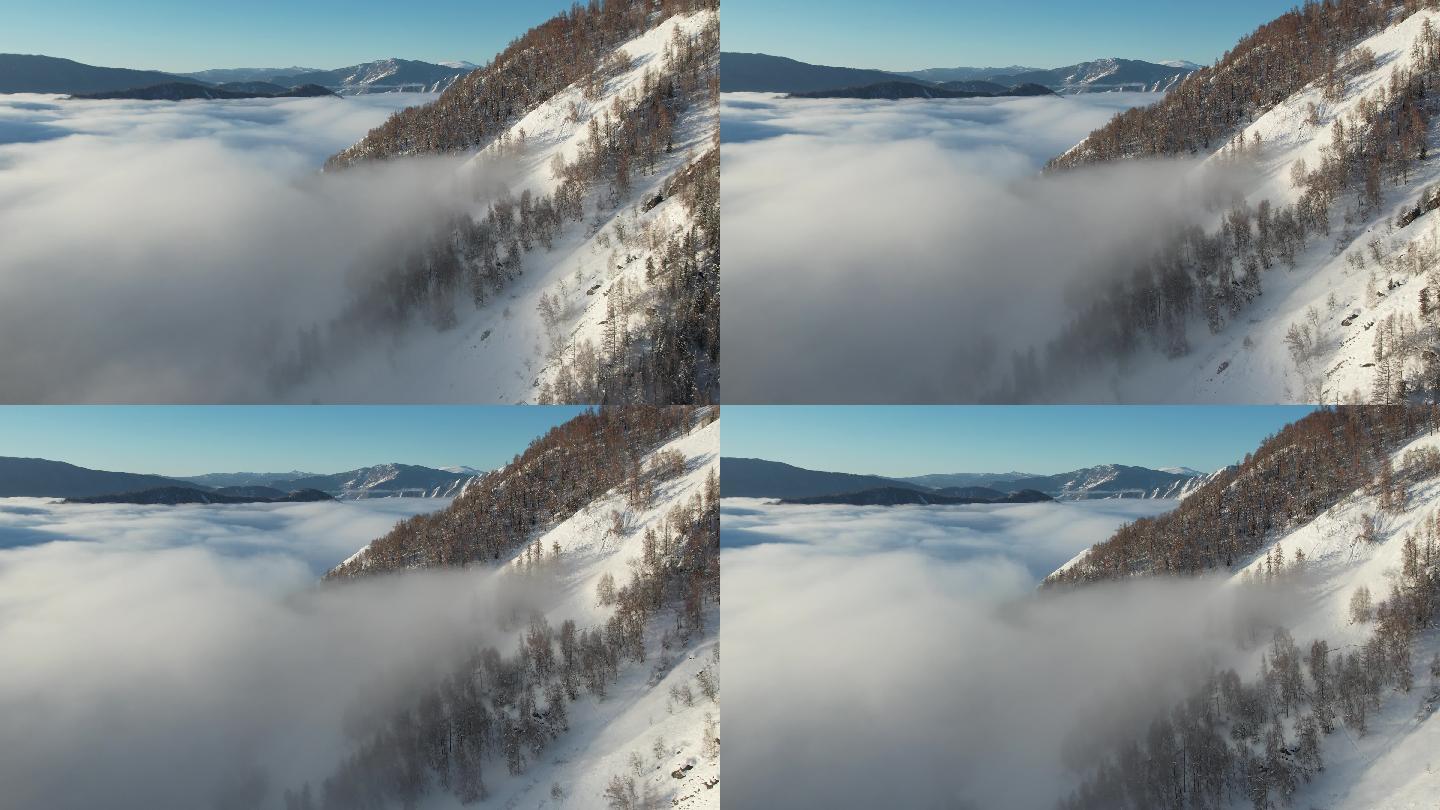 阿勒泰禾木雪景云海