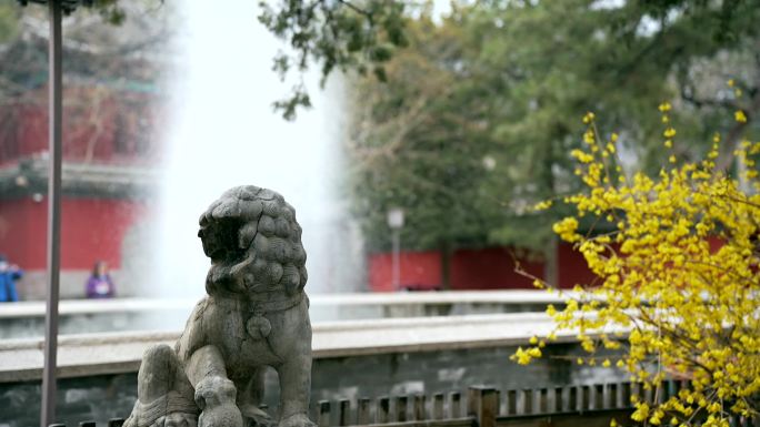 实拍春天北京大觉寺内古老的石刻狮子雕像