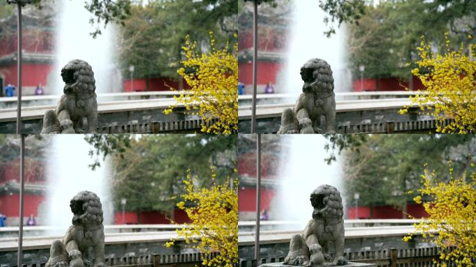 实拍春天北京大觉寺内古老的石刻狮子雕像